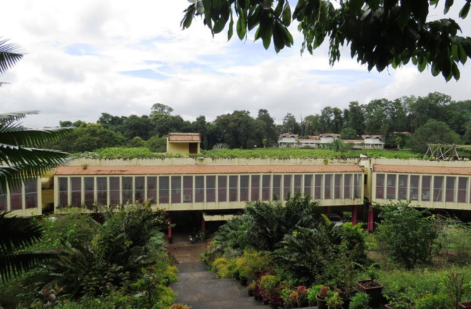Jawaharlal Nehru Tropical Botanic Garden and Research Institute, Thiruvananthapuram, Kerala - Vushii.com Jawaharlal Nehru Tropical Botanic Garden and Research Institute, Thiruvananthapuram, Kerala - Vushii.com